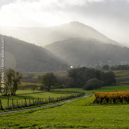 Le monastre du mont Sainte Odile surplomble la plaine d'Alsace.